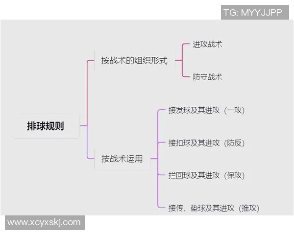 成都排球队中路突破战术深度解析与实战应用探讨