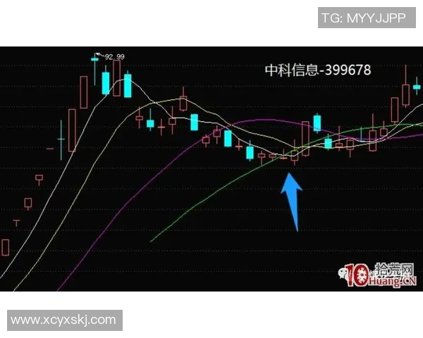 武汉排球队运营分析：成功经验与面临挑战的深度探讨