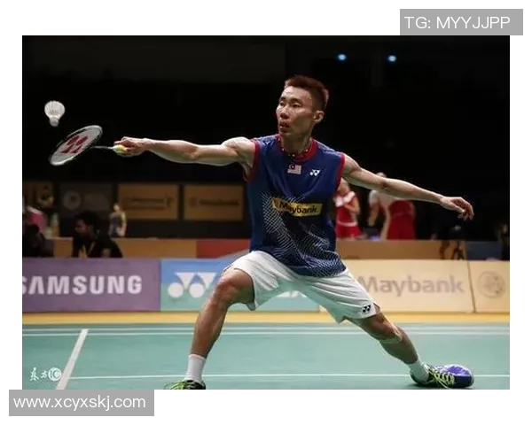 羽毛球盛宴：深入南京羽毛球队的训练与比赛节奏探讨